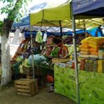 El 16 de julio habrá “Feria de Productores Locales” en Casco Urbano