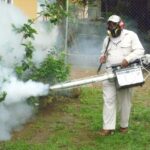 Salud La OMS aseguró que el cambio climático aumentó la circulación de dengue Los datos dan cuenta del aumento de la circulación de los mosquitos que transmiten dengue, chikungunya o zika. Hay alerta en Sudamérica y Europa.