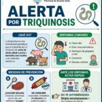 triqui