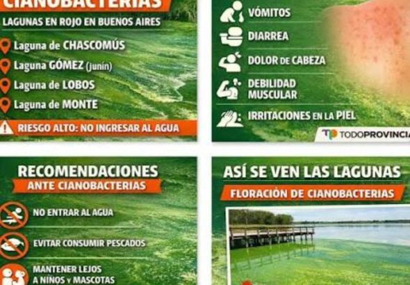 verdin